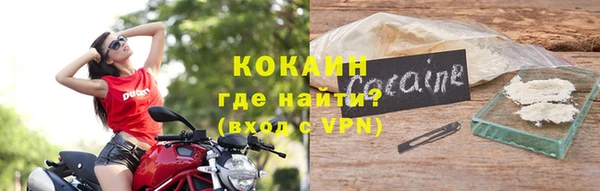 прущие грибы Балабаново