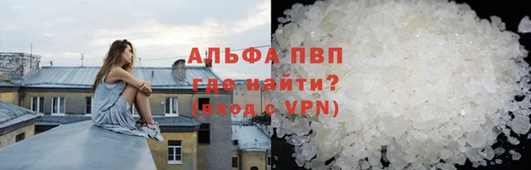 прущие грибы Балабаново