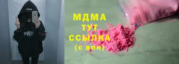 прущие грибы Балабаново