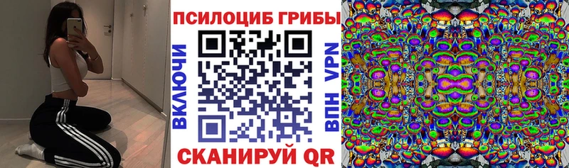 Псилоцибиновые грибы Cubensis блэк спрут онион Козельск цены наркотик